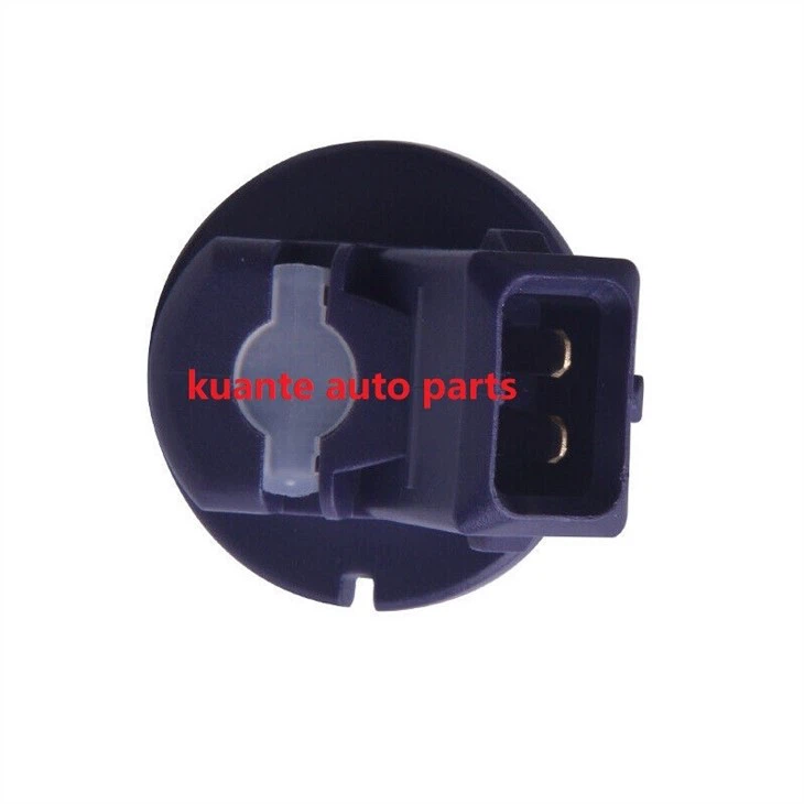 Mercury fuel injector