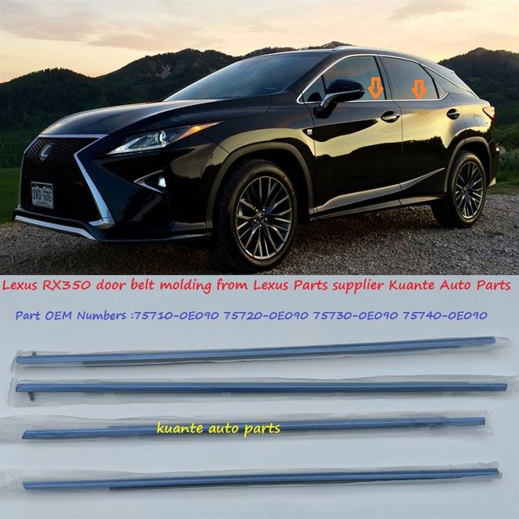 Lexus mouldings